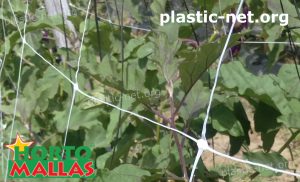 plastic net providing support to plants